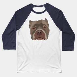 Sleepy Pitbull Baseball T-Shirt